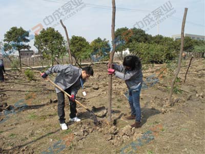 2012.3.12中成泵業植樹節活動報道